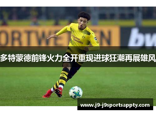 多特蒙德前锋火力全开重现进球狂潮再展雄风