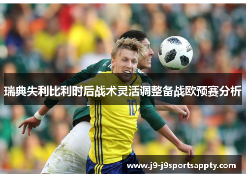 瑞典失利比利时后战术灵活调整备战欧预赛分析