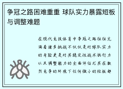 争冠之路困难重重 球队实力暴露短板与调整难题
