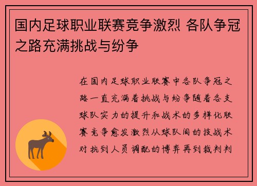 国内足球职业联赛竞争激烈 各队争冠之路充满挑战与纷争