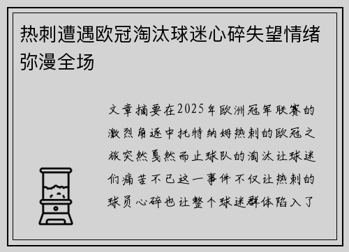 热刺遭遇欧冠淘汰球迷心碎失望情绪弥漫全场